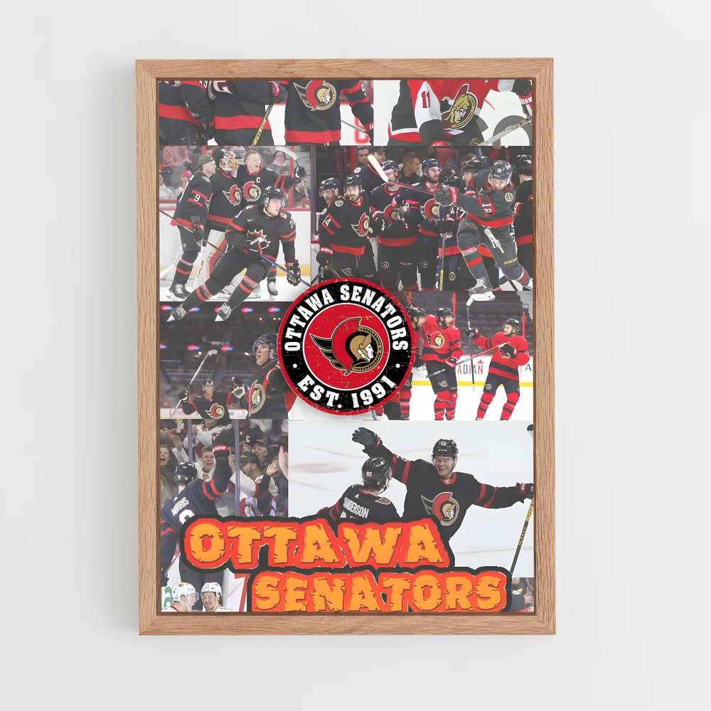 Poster Sensations Ottawa – affiche Hockey sur glace (vue 4)